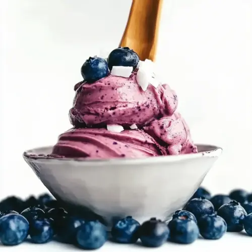 Blueberry Frozen Yogurt