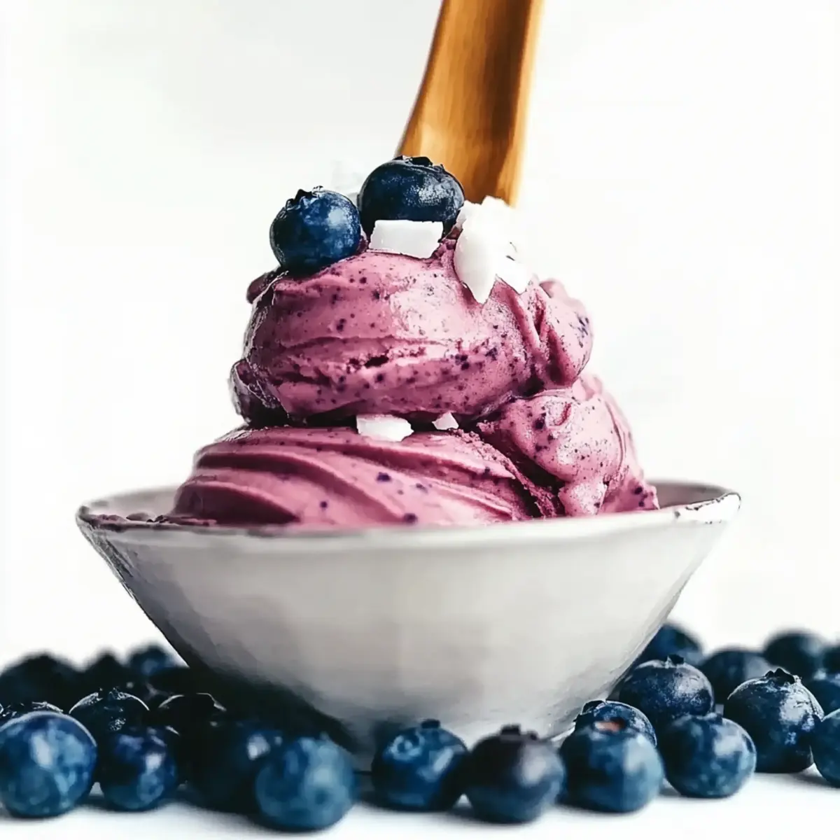 Blueberry Frozen Yogurt
